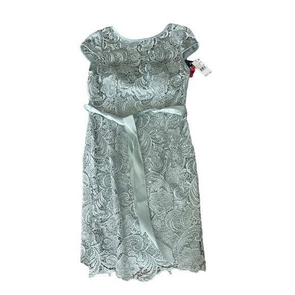 Adrianna Papell Dresses & Skirts - Adrianna Papell Lace Dress Size 10 Mint